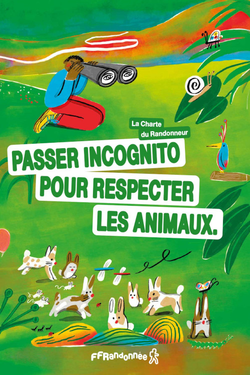 Conseil6