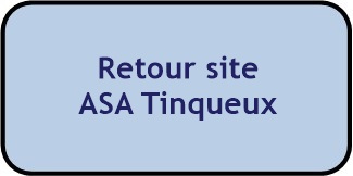 Bouton retour site